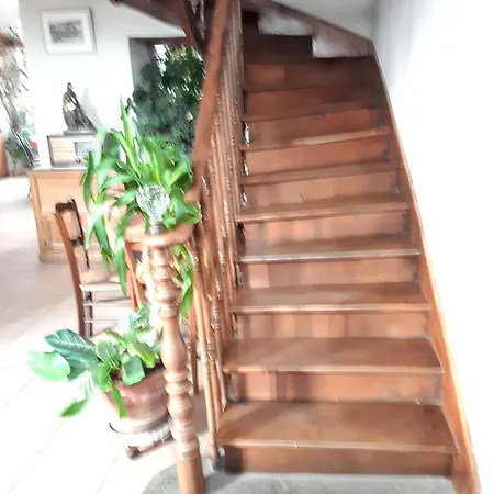 Maison Charmante A Avec Jardin Spacieux Tatil Evi
